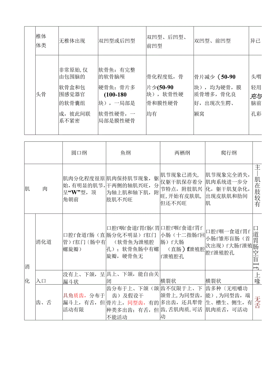 脊椎动物六纲主要结构的比较表1.docx_第2页