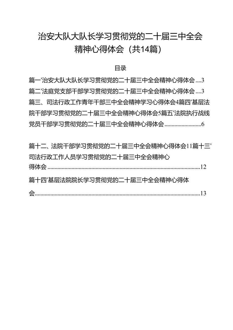治安大队大队长学习贯彻党的二十届三中全会精神心得体会（共14篇）.docx_第1页