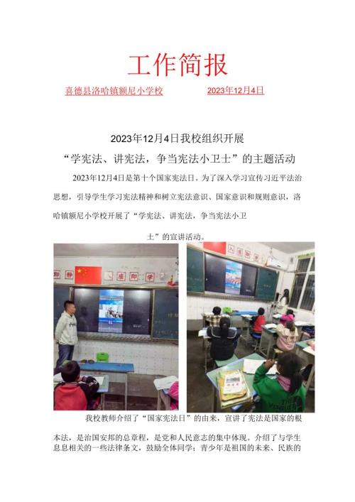 喜德县洛哈镇额尼小学校“学宪法、讲宪法争当宪法小卫士”简报.docx
