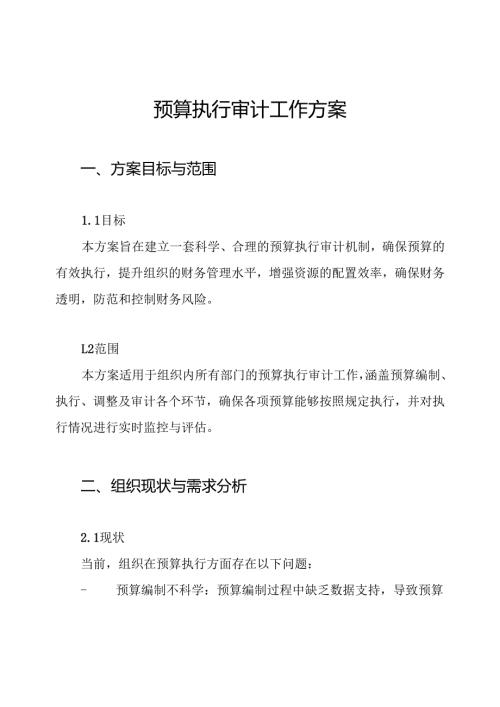 预算执行审计工作方案.docx