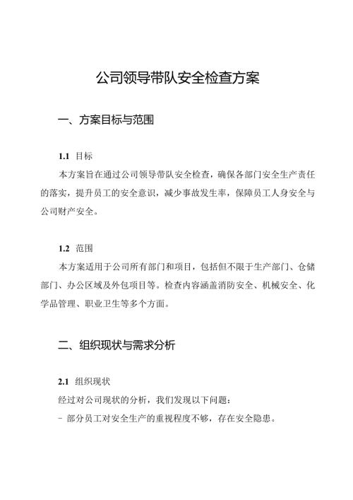 公司领导带队安全检查方案.docx