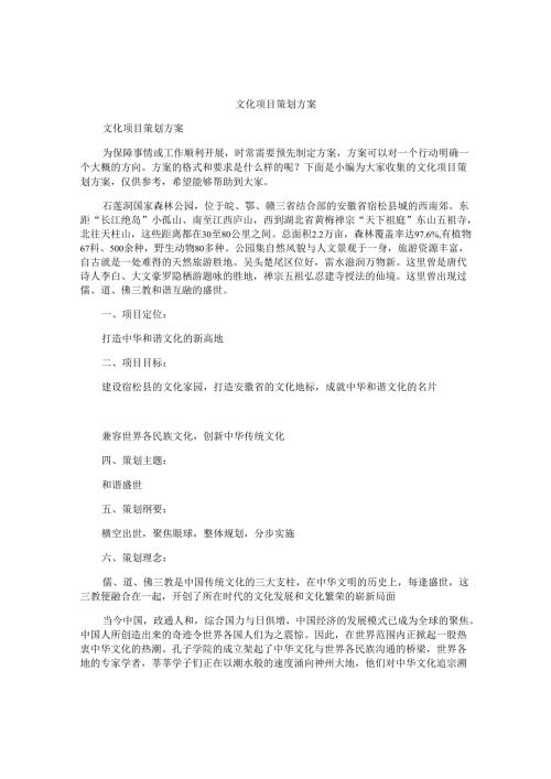 文化项目策划方案.docx