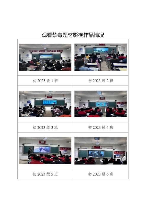观看禁毒题材影视作品情况.docx