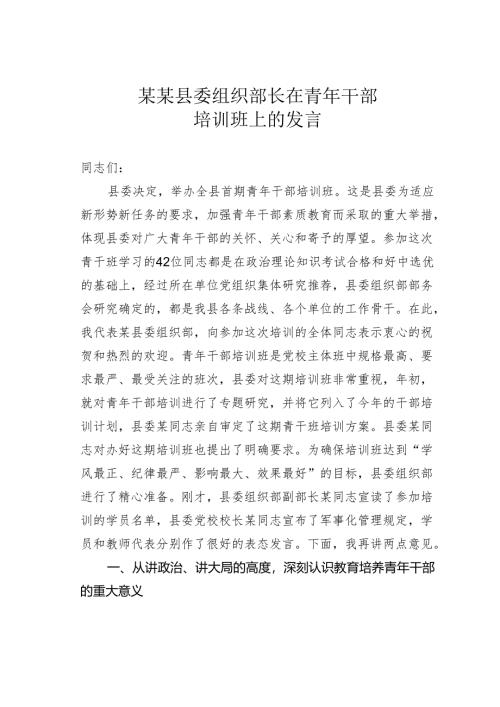 某某县委组织部长在青年干部培训班上的发言.docx