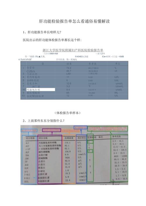 肝功能检验报告单怎么看通俗易懂解读.docx