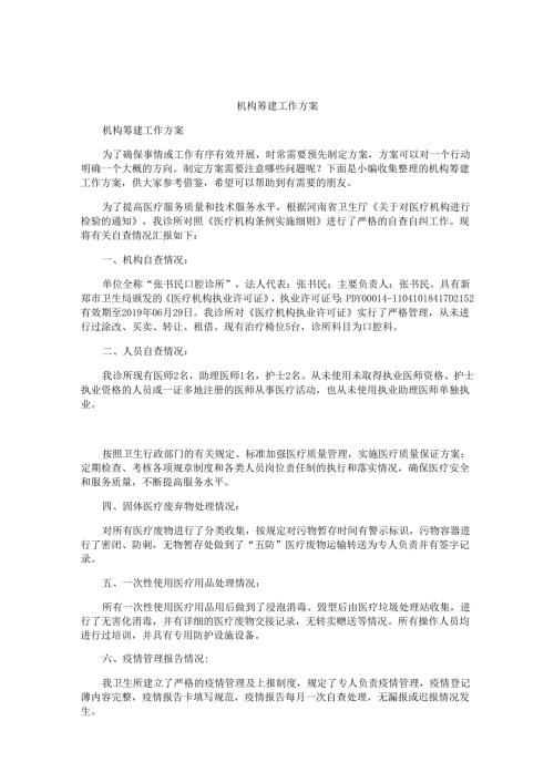 机构筹建工作方案.docx