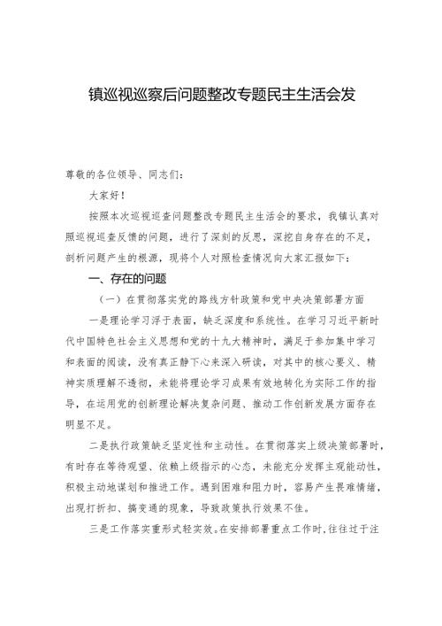 镇巡视巡察后问题整改专题民主生活会发言.docx