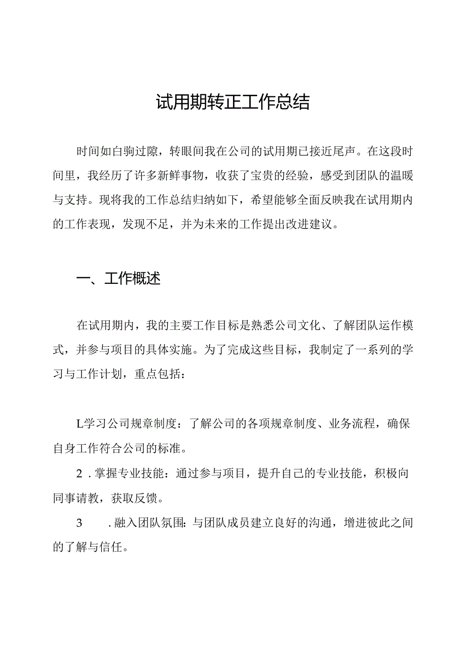 试用期转正工作总结.docx_第1页