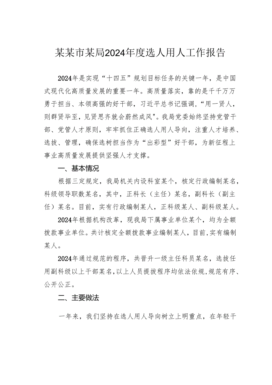某某市某局2024年度选人用人工作报告.docx_第1页