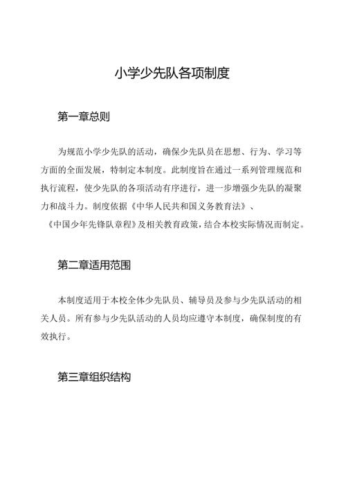 小学少先队各项制度.docx