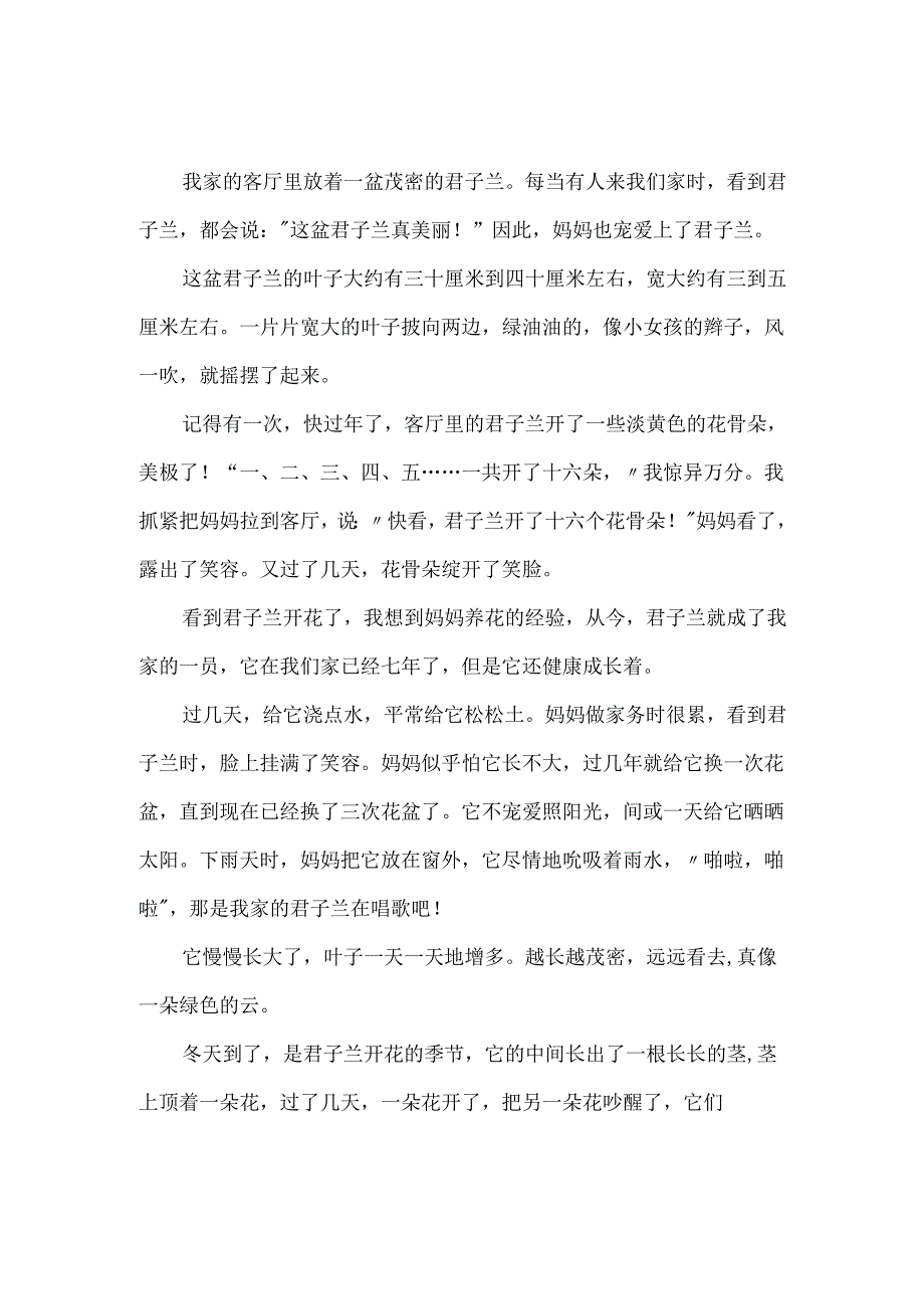 描写君子兰的作文550字.docx_第2页