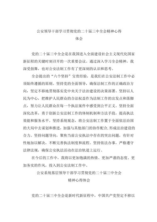 （11篇）公安领导干部学习贯彻党的二十届三中全会精神心得体会汇编.docx