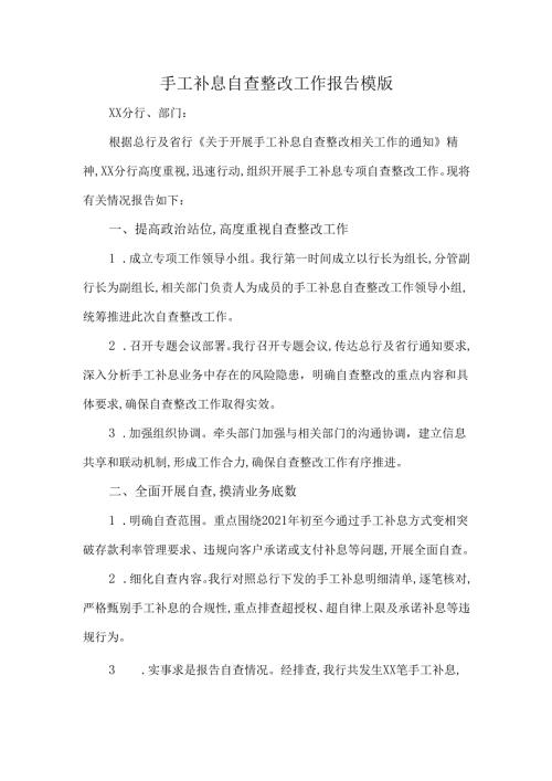 手工补息自查整改工作报告模版.docx