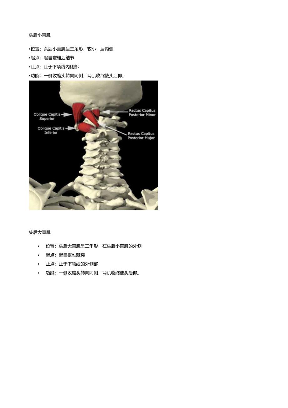 赛普健身教练培训学院——运动康复课程.docx_第2页