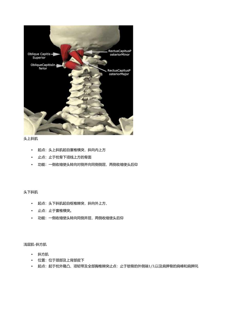 赛普健身教练培训学院——运动康复课程.docx_第3页