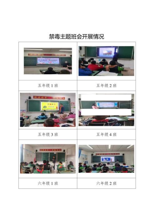 禁毒主题班会开展情况.docx