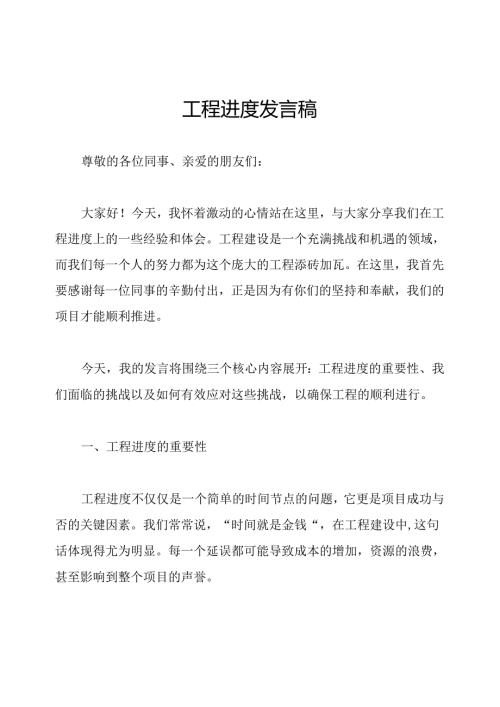工程进度发言稿.docx