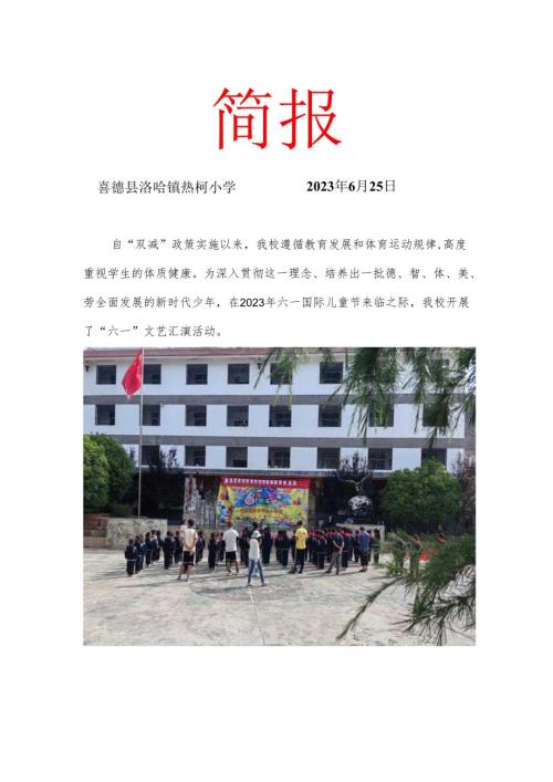 喜德县热柯小学6月双减工作月报.docx