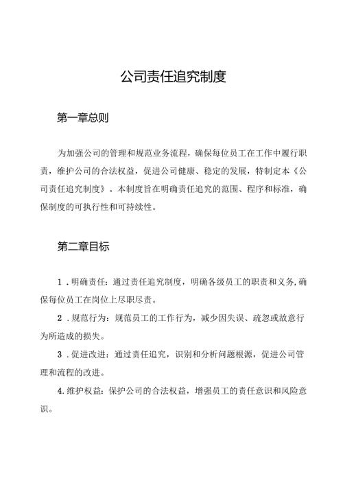 公司责任追究制度.docx