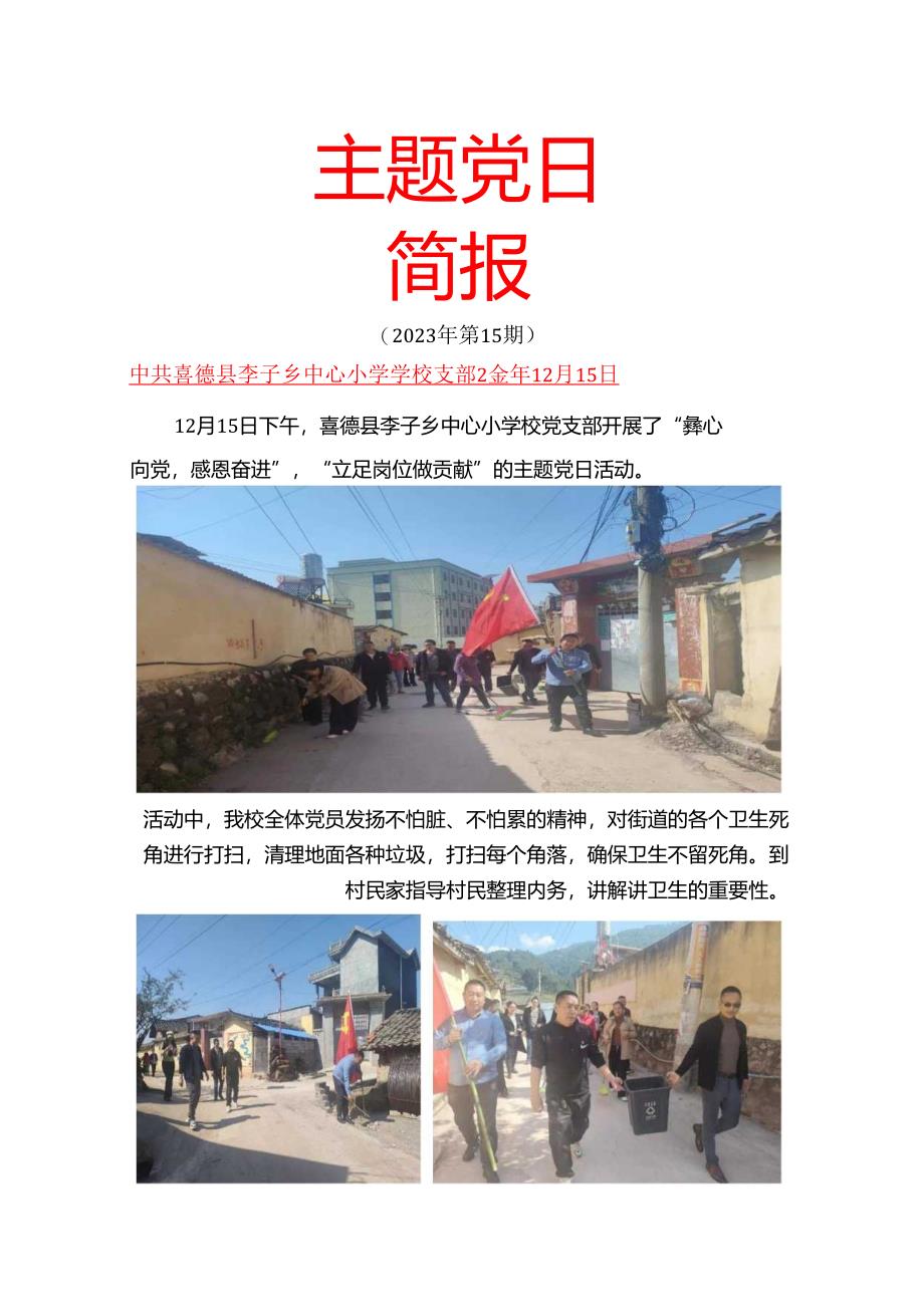 主题党日简报.docx_第1页