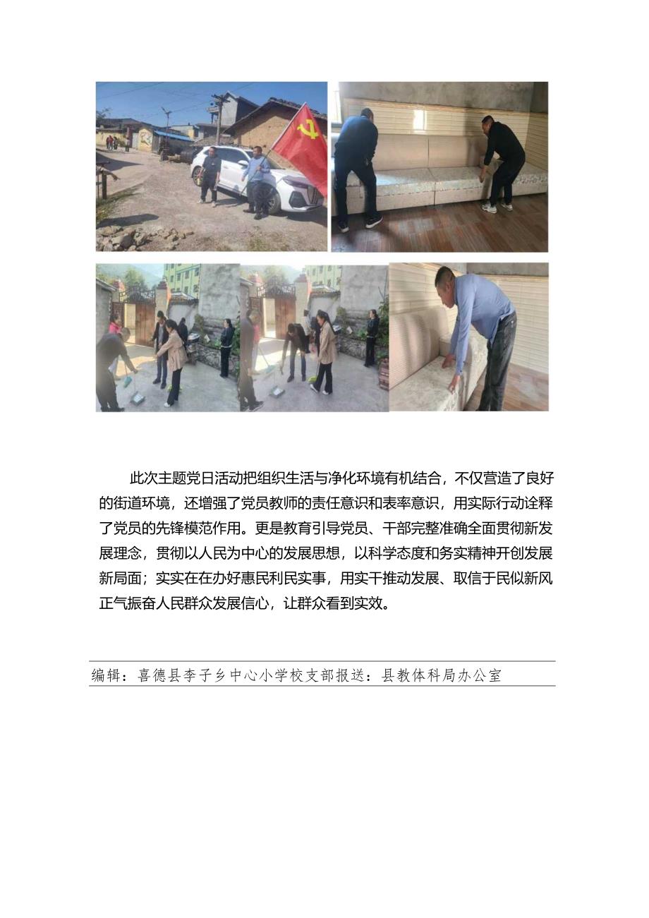 主题党日简报.docx_第2页