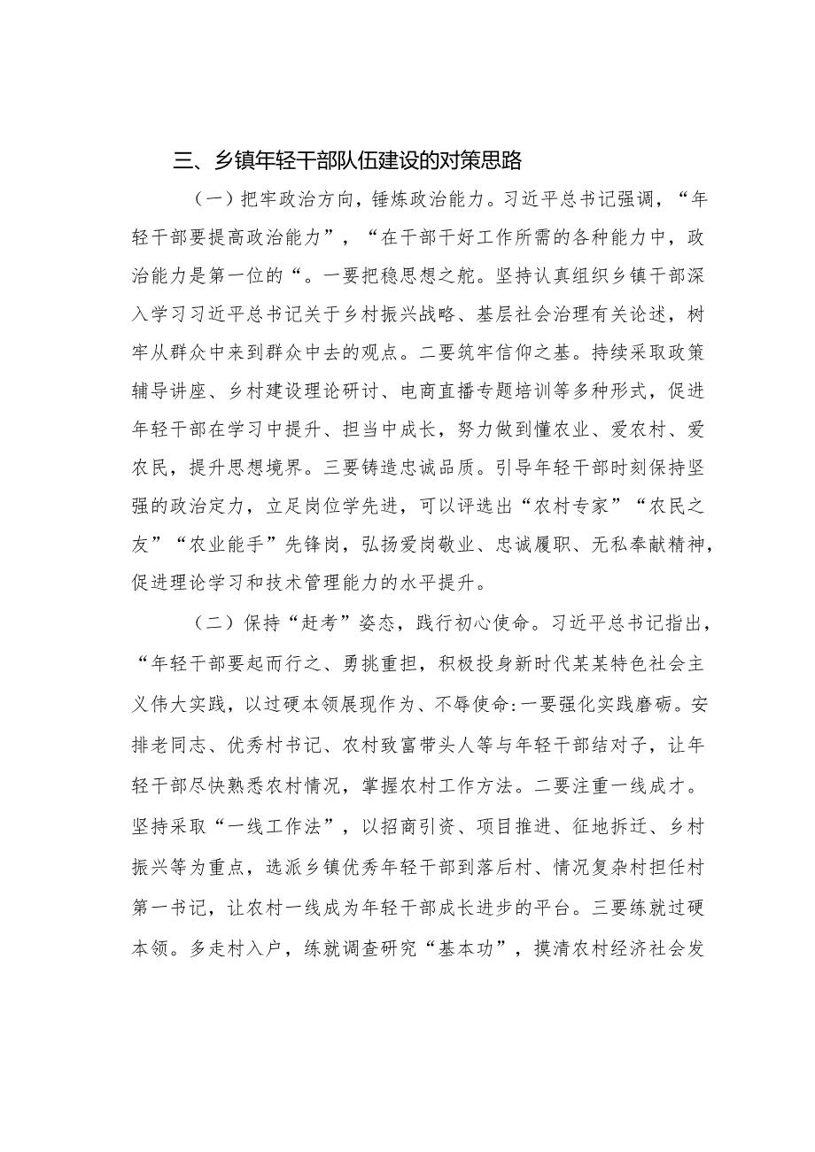 关于新时代加强乡镇年轻干部队伍建设的问题研究报告.docx_第3页