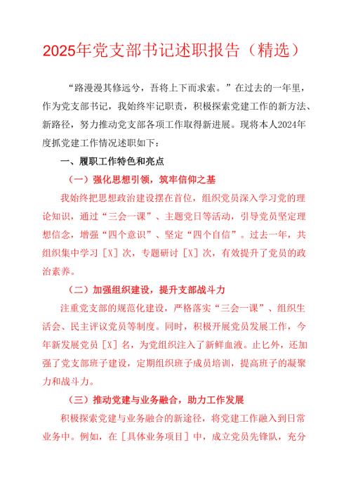 2025年党支部书记述职报告.docx