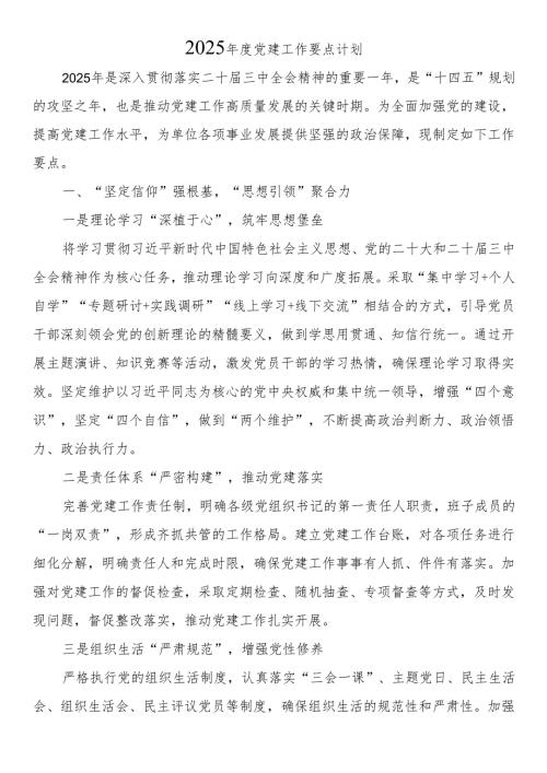 2025年度党建工作要点计划.docx