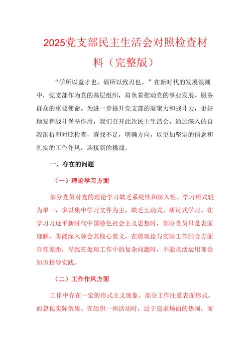 2025党支部民主生活会对照检查材料.docx
