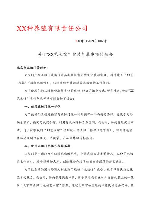 关于“XX艺术馆”宣传包装事项的报告（2025年）.docx