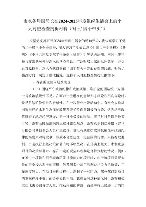 市水务局副局长在2024-2025年度组织生活会上的个人对照检查剖析材料（对照‘四个带头’）.docx