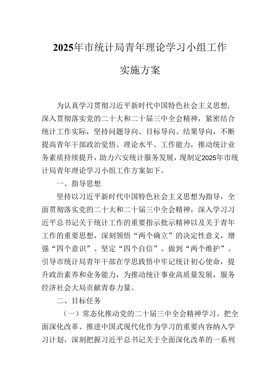 2025年市统计局青年理论学习小组工作实施方案.docx_第1页