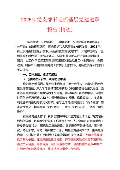 2025年党支部书记抓基层党建述职报告（精选）.docx