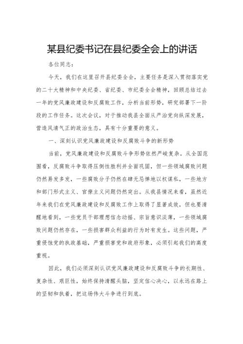 某县纪委书记在县纪委全会上的讲话.docx
