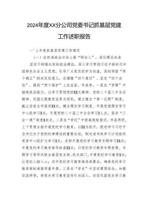 2024年度分公司党委书记抓基层党建工作述职报告.docx