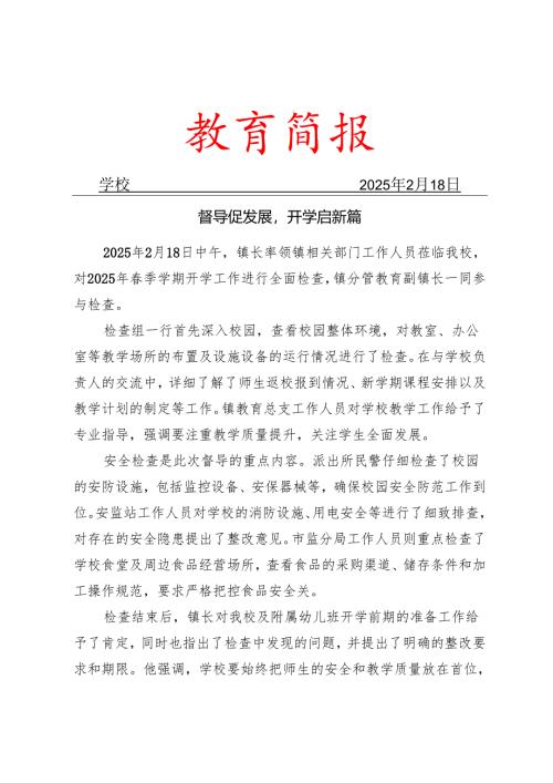 政府督导检查简报.docx