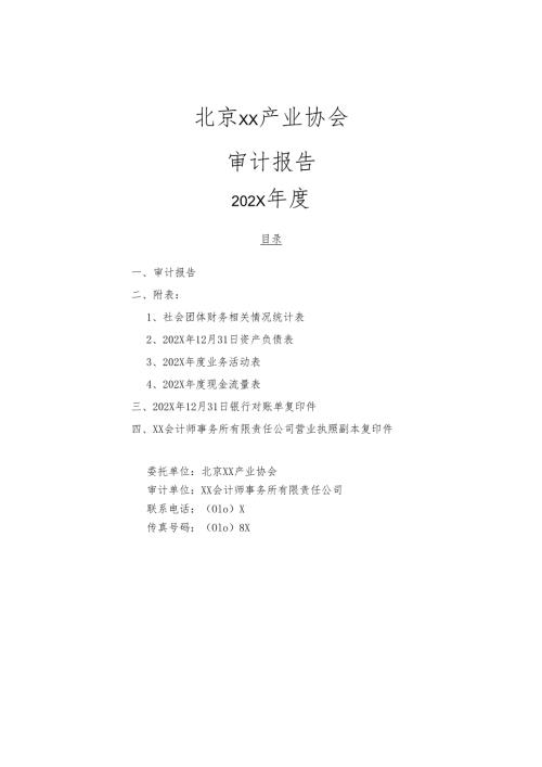北京XX产业协会202X年度审计报告（2024年）.docx