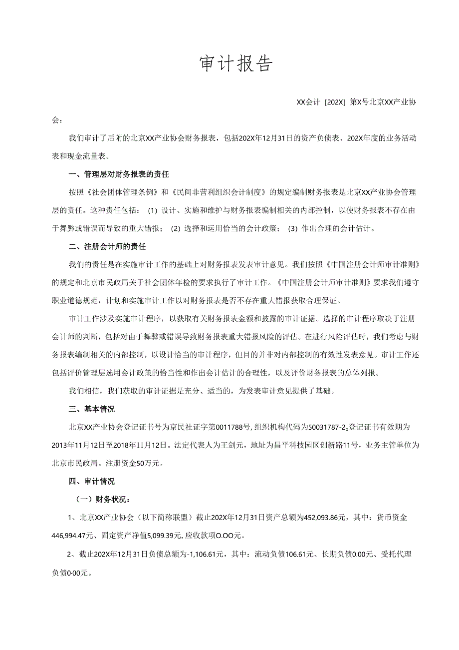 北京XX产业协会202X年度审计报告（2024年）.docx_第2页