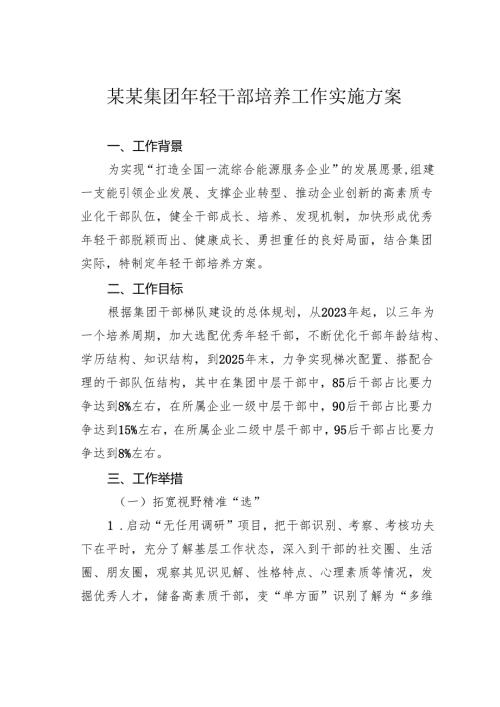 某某集团年轻干部培养工作实施方案.docx