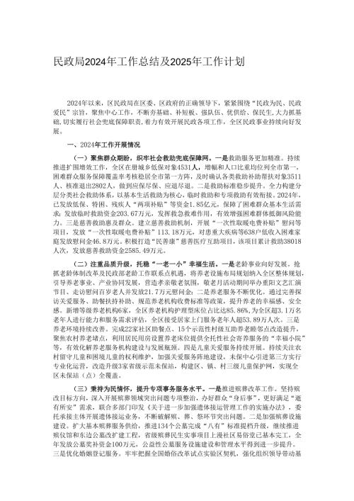民政局2024年工作总结及2025年工作计划.docx
