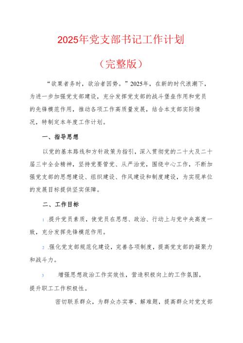 2025年党支部书记工作计划.docx