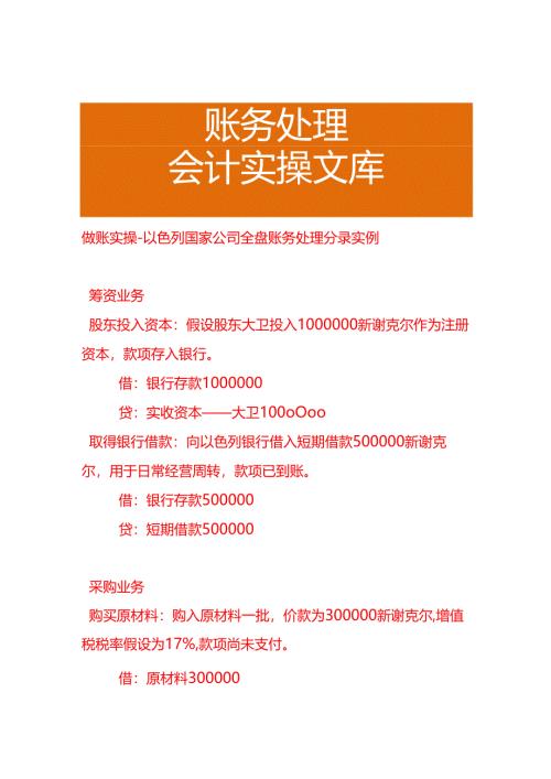 做账实操-以色列国家公司全盘账务处理分录实例.docx