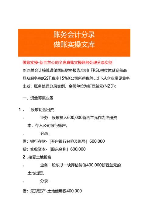 做账实操-新西兰公司全盘账务处理分录实例.docx