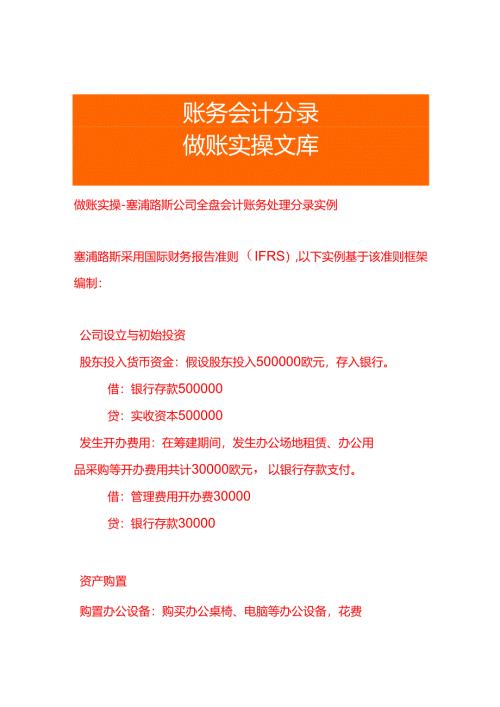 做账实操-塞浦路斯公司全盘会计账务处理分录实例.docx