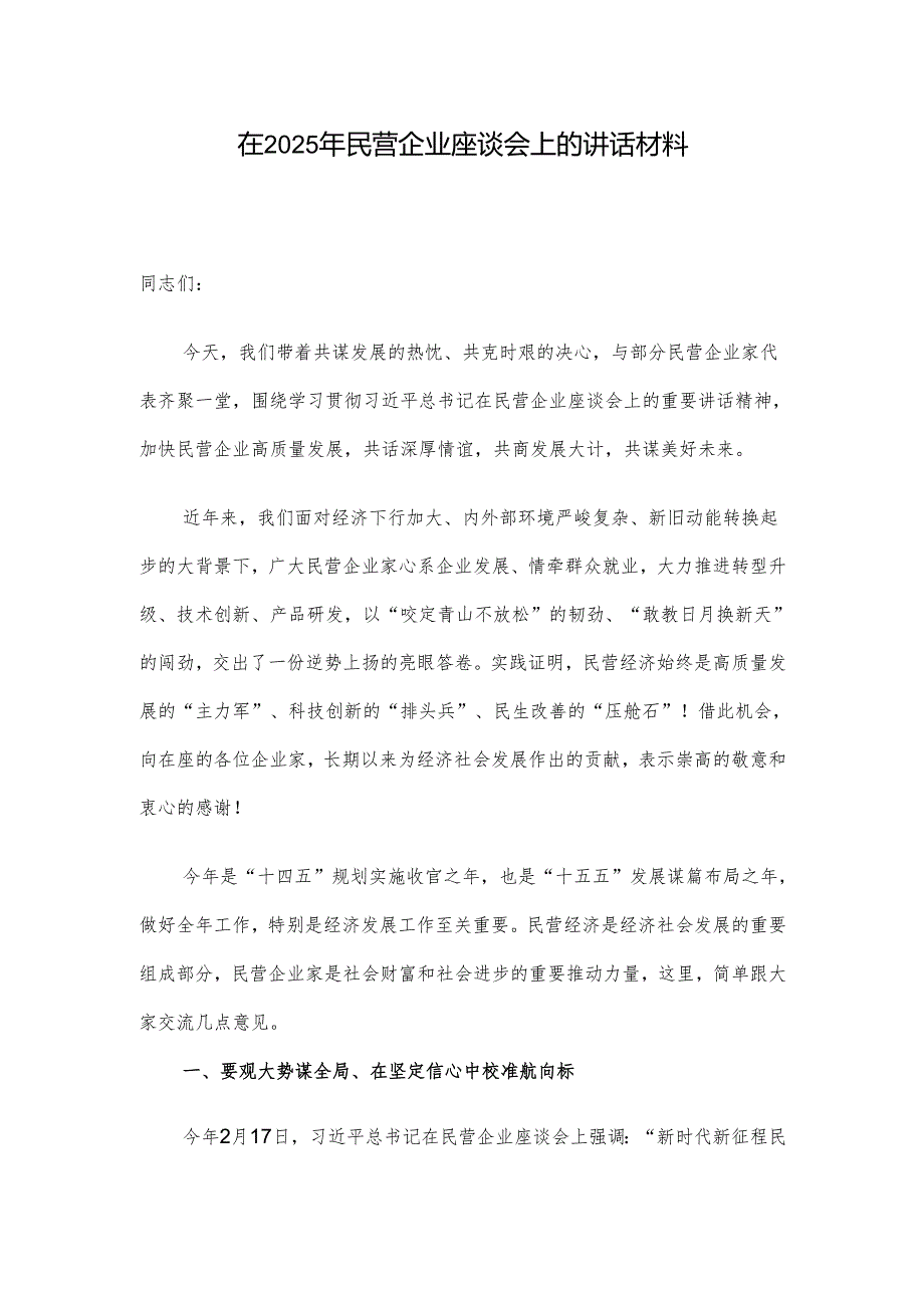 在2025年民营企业座谈会上的讲话材料.docx_第1页