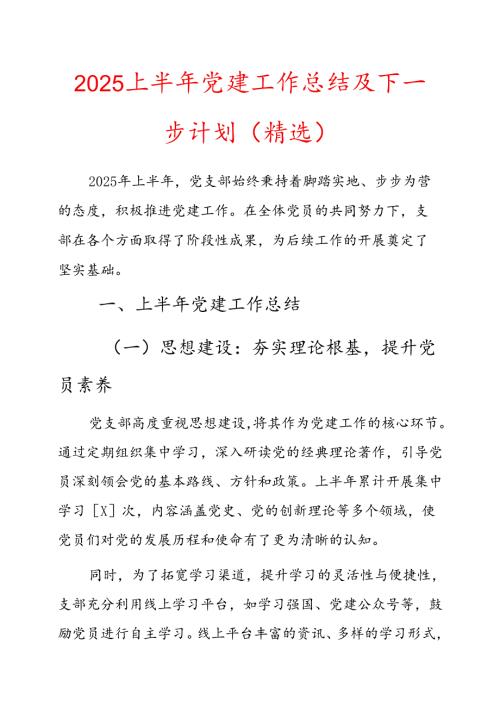 2025上半年党建工作总结及下一步计划（精选）.docx