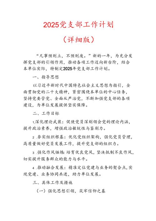 2025 党支部工作计划（详细版）.docx