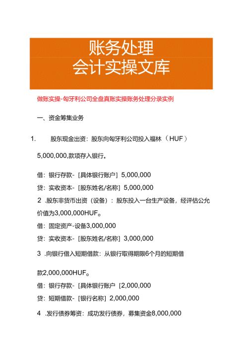 做账实操-匈牙利公司全盘真账实操账务处理分录实例.docx