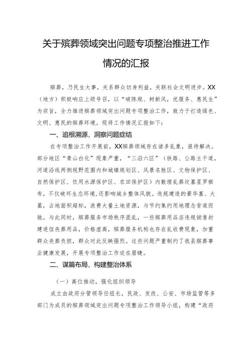 关于殡葬领域突出问题专项整治推进工作情况的汇报.docx