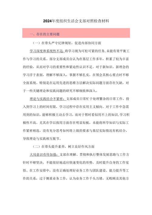 2024年度组织生活会支部对照检查材料.docx